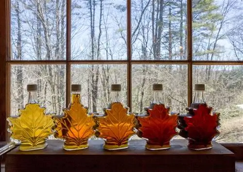 Чтобы попробовать лучшую осеннюю еду в США, отправляйтесь в Вермонт