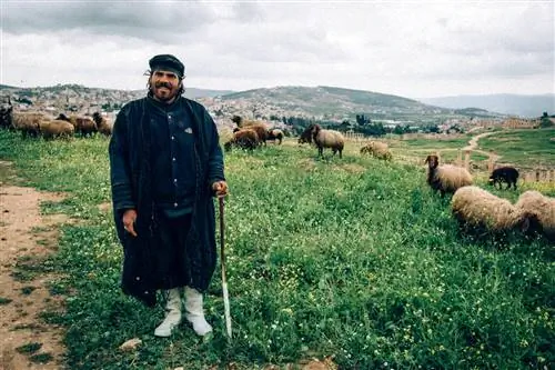 Пастух в Джераше, Иордания