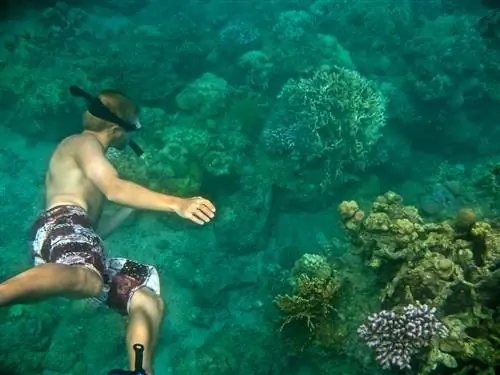 STA Adventure Activies Снорклинг 2