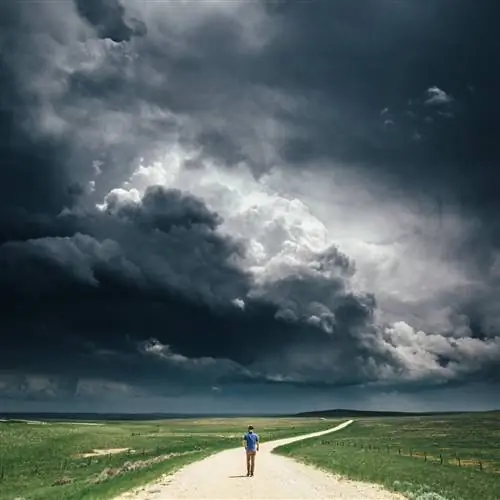 Высокие равнины