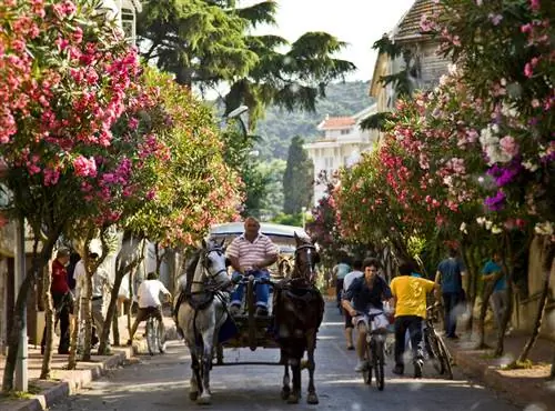 принцевы острова стамбул