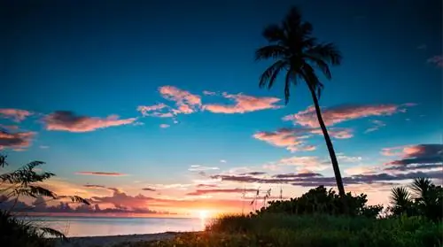 Закат на пляже Санибел