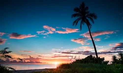 Зеленый путеводитель по отдыху в Форт-Майерсе и Санибеле, Флорида