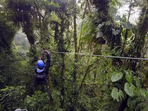 Зиплайн Monteverde Cloud Forest
