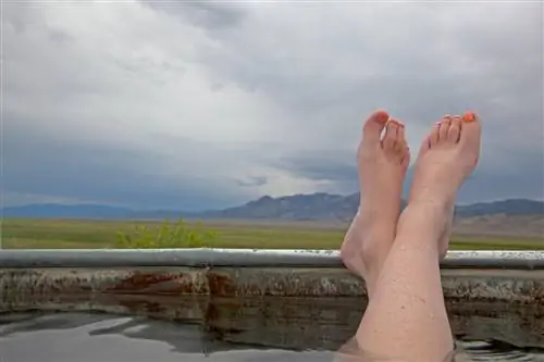 Поттс Хот Спрингс, Невада