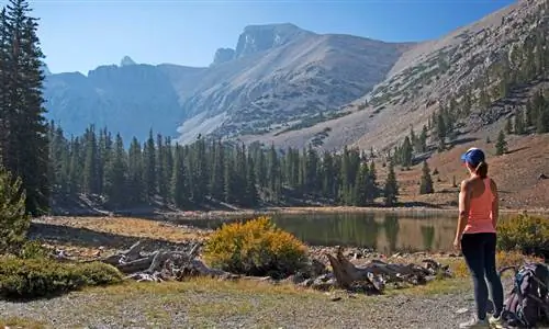 20 истин о Неваде, о которых вы никогда бы не догадались