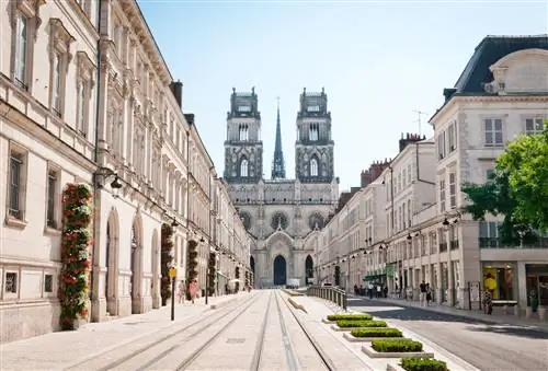 Долина Луары Орлеанский собор