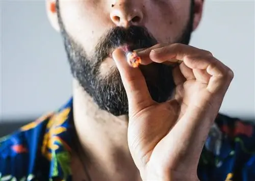 40 самых успешных стоунеров всех времен