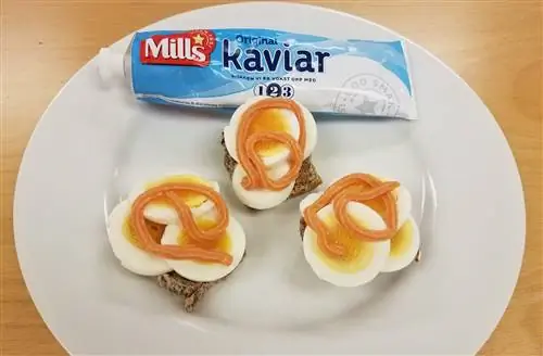 Икра в тюбике