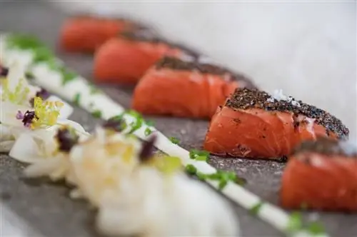 норвежский лосось