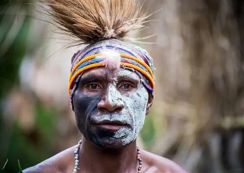 Племя PNG встречает видео белого человека, подделка. Или это?