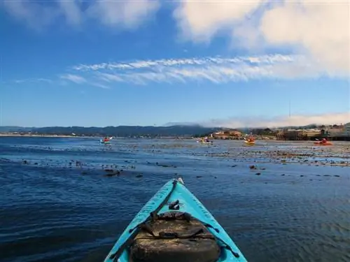 Каякинг в Монтерее с Adventures by the Sea Каякинг в Монтерее с Adventures by the Sea