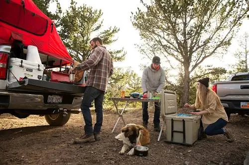 Как упаковать еду для дорожных поездок: возьмем ваши любимые блюда в этот отпуск