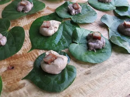 листья пои и таро