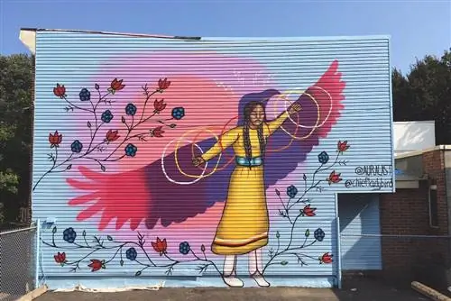 Стрит-арт вождя леди Берд
