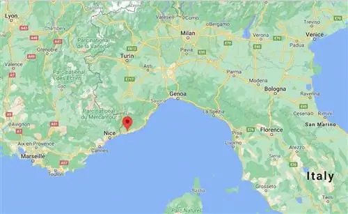 Карта Себорги