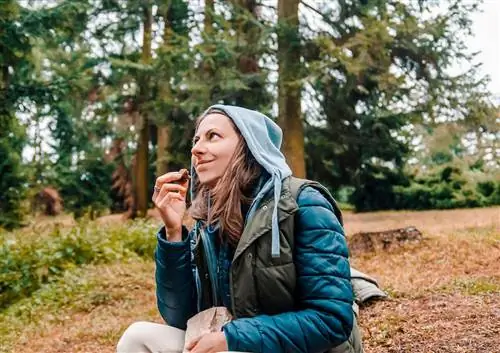 Лучшие веганские энергетические закуски и блюда для активного отдыха