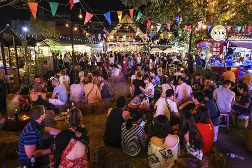 Чаинг-май-таиланд-лучшие веганские города