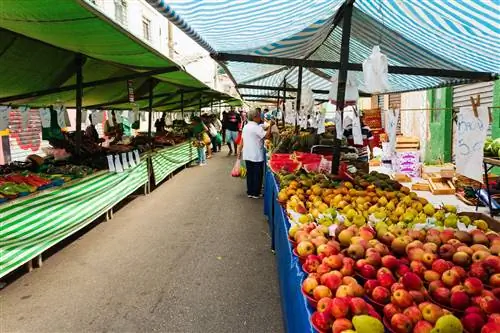 рынок в бразилии