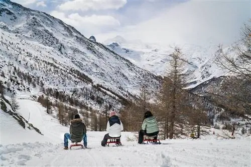 Люди катаются на санях