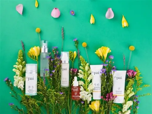 6 невероятных веганских брендов по уходу за кожей, с которыми нужно путешествовать