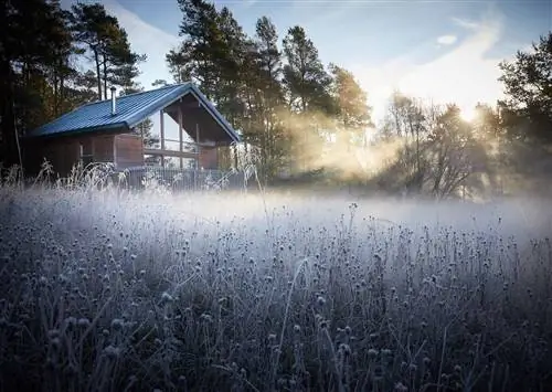 7 Волшебных лесных курортов для идеального отдыха на природе
