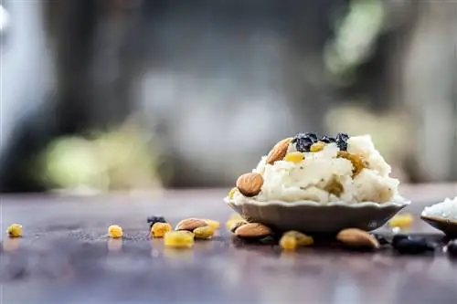Халва с орехами и изюмом