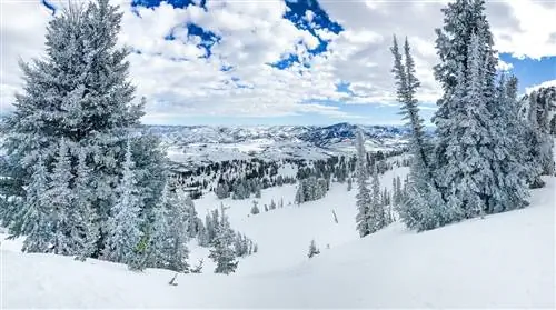Курорт Snobasin для катания на лыжах в Юте