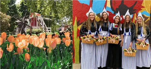 День короля в голландской культуре в США