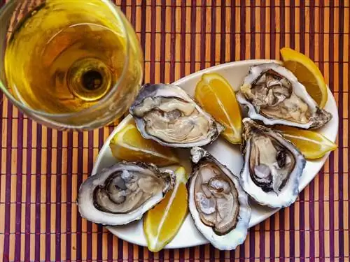 Род-Айленд - недооцененный бастион морепродуктов Новой Англии. Вот где это попробовать