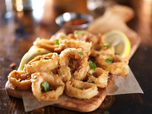 кальмары, род-айлендские морепродукты