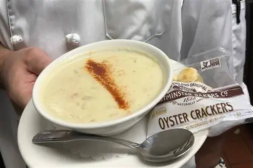 суп из моллюсков, морепродукты Род-Айленда