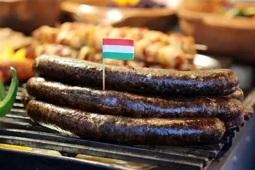 Венгерские колбаски
