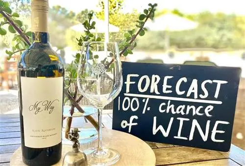 Бокал и бутылка вина Klein Roosboom Boutique Winery, живописные виды в Кейптауне