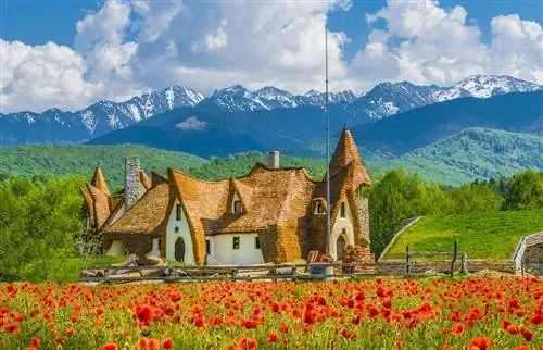 Эти страны открыты для вакцинированных туристов