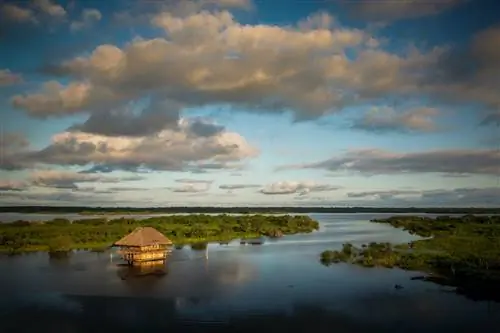 Хижина в Амазонке