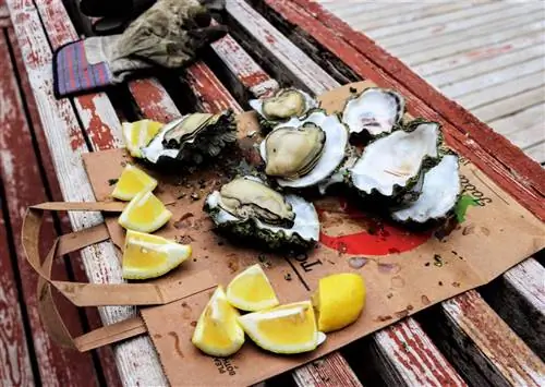 Все основные остановки в морском туре по штату Вашингтон