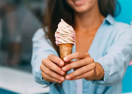 Средний Запад одержим замороженным заварным кремом. Вот где это попробовать