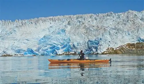 Ледник КАЯКИНГ - кредит TasermiutSGE