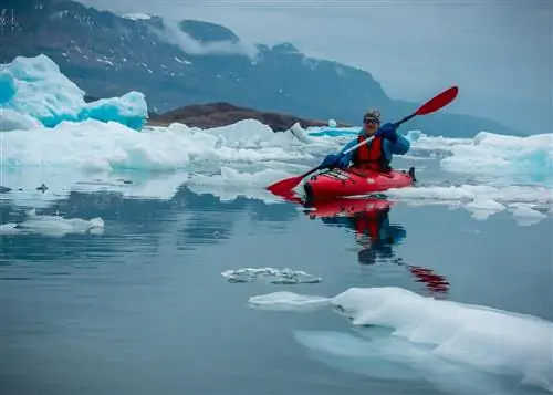 Гренландское весло серое небо