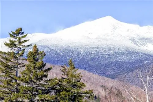 Уайт, Горы, Национальный, Лес,, Нью, Хэмпшир
