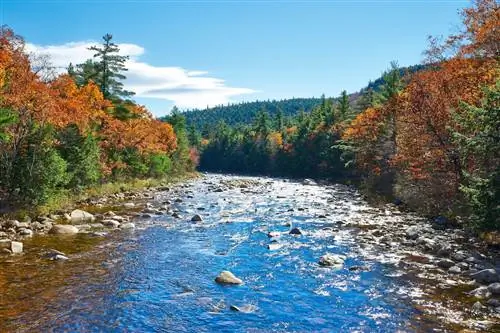 Стриж, Река, В, Осень, В, Белый, Гора, Национальный, Лес,, Новый