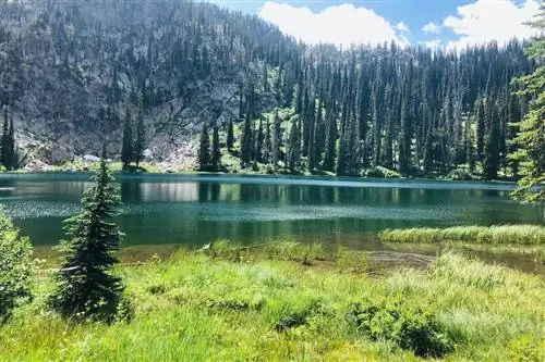 МакКолл, Айдахо