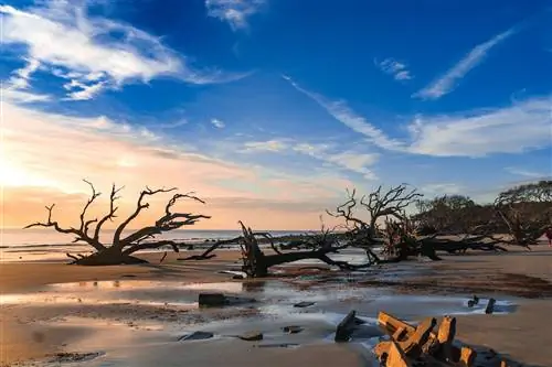 Остров Джекил