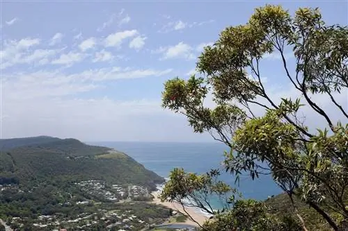 Пейзажи Австралии