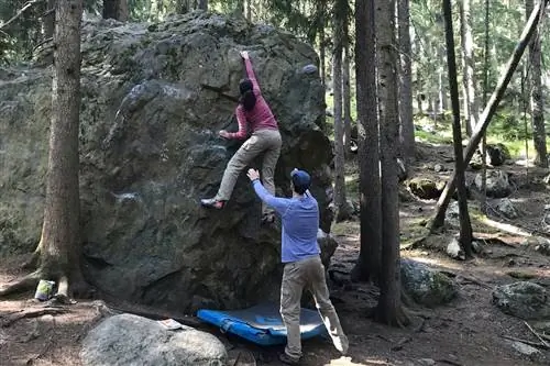 Les Bossons - кредит Анна Шевченко