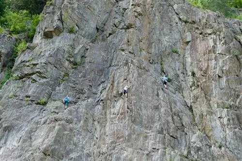 Les Gaillands - кредит Анна Шевченко