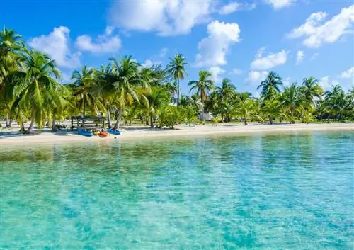 Вот как максимально использовать Белиз - от джунглей до побережья