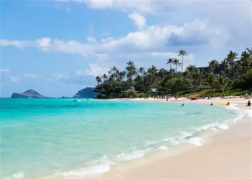 Лучшие пляжи на острове Оаху, идеально подходящие для семейного отдыха