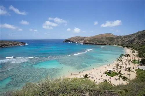 Залив Ханаума Гонолулу Гавайи, пляжи Оаху для семей